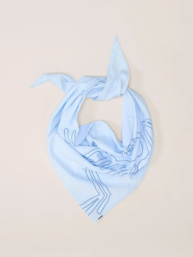 Bandanas Sinsolo
