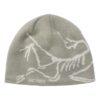 Bonnet « Bird Head » Arc'teryx « Gris »