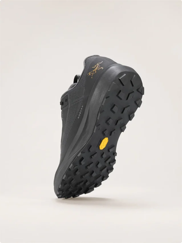 Chaussure Norvan LD 4 GTX pour femme