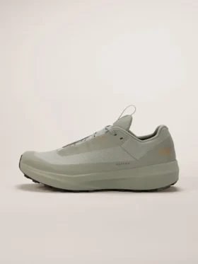 Chaussure Norvan LD 4 GTX pour homme
