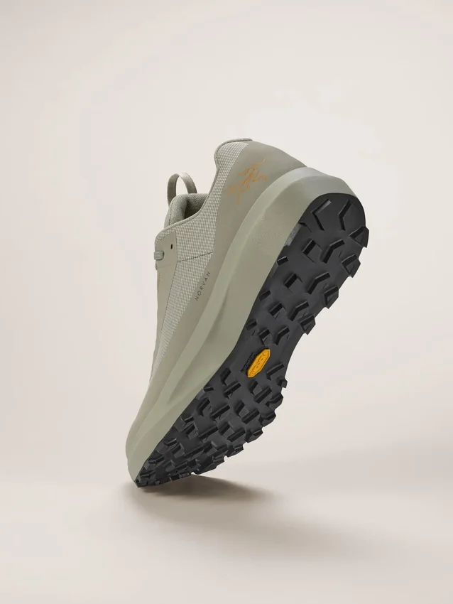 Chaussure Norvan LD 4 GTX pour homme