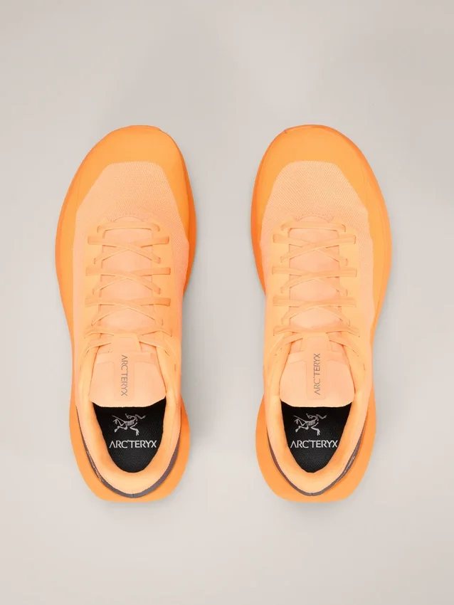 Chaussure Norvan LD 4 pour homme