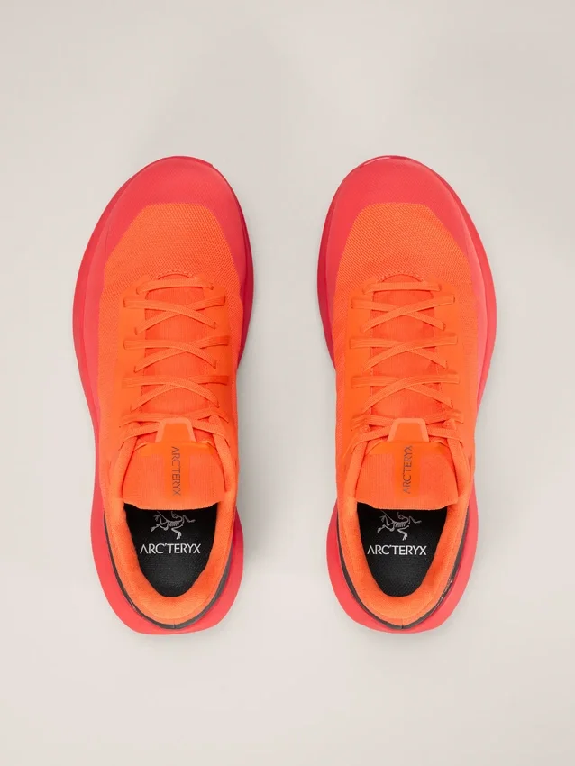 Chaussure Norvan LD 4 pour homme