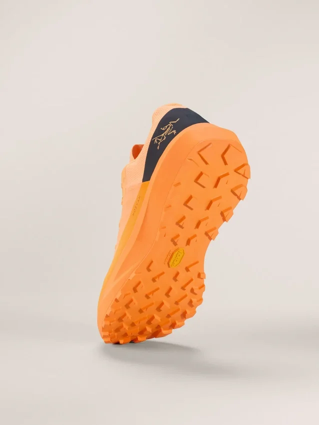 Chaussure Norvan LD 4 pour homme