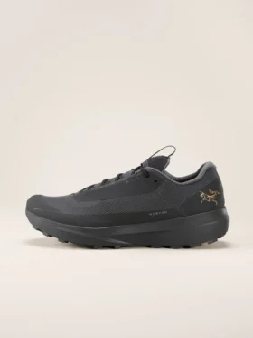 Chaussures Norvan LD 4 GTX pour homme
