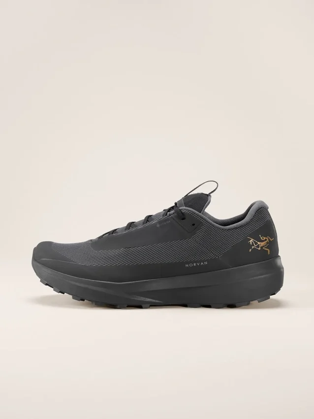 Chaussures Norvan LD 4 GTX pour homme