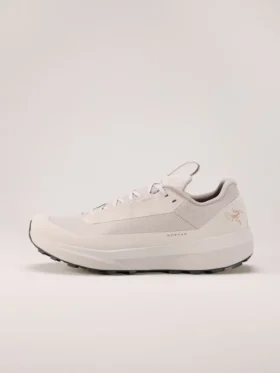 Chaussures Norvan LD 4 GTX pour homme