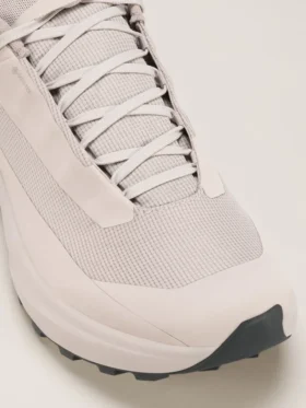 Chaussures Norvan LD 4 GTX pour homme