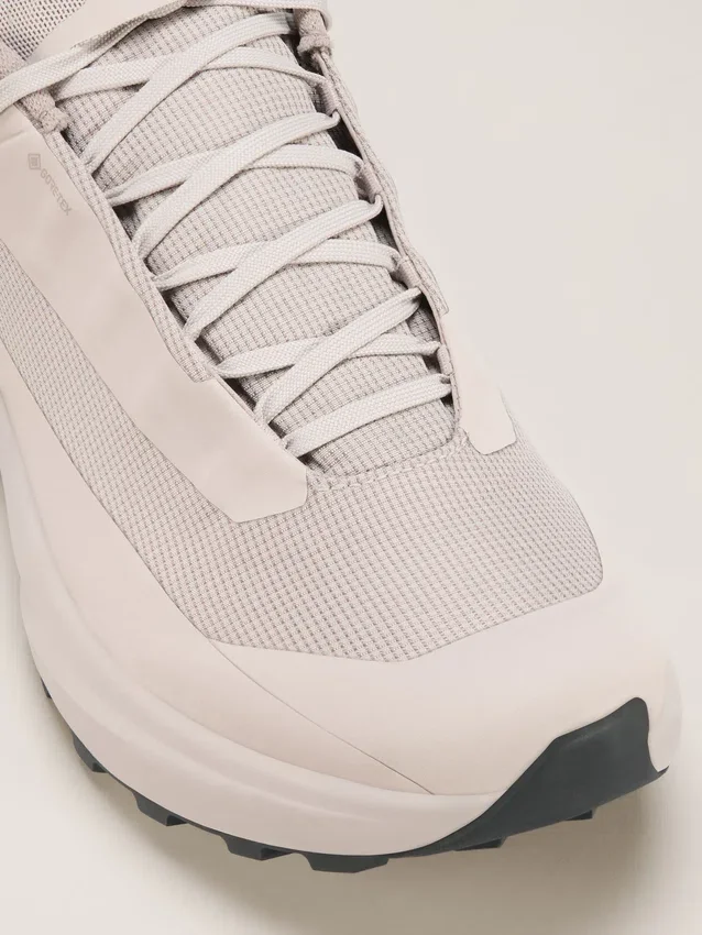 Chaussures Norvan LD 4 GTX pour homme