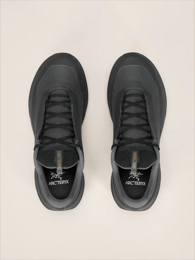 Chaussures Norvan LD 4 GTX pour homme