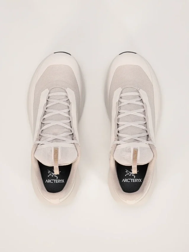 Chaussures Norvan LD 4 GTX pour homme