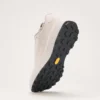 Chaussures Norvan LD 4 GTX pour homme