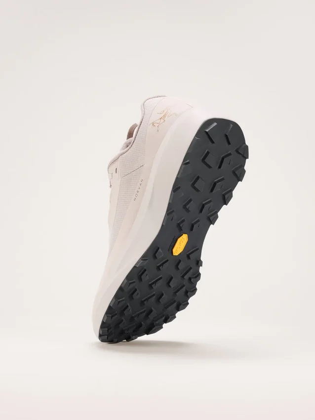 Chaussures Norvan LD 4 GTX pour homme