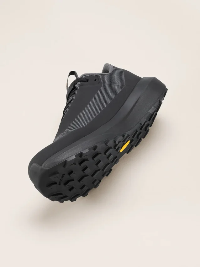 Chaussures Norvan LD 4 GTX pour homme