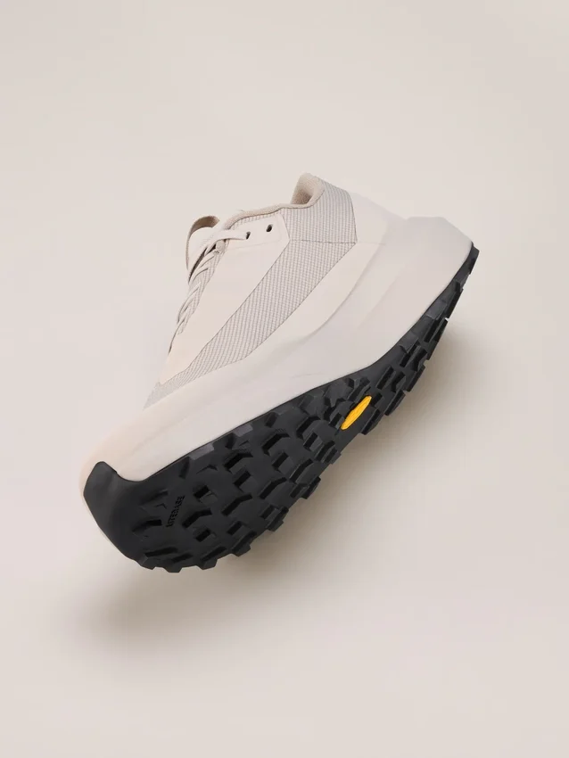 Chaussures Norvan LD 4 GTX pour homme