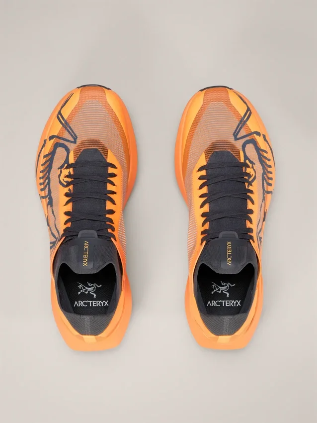 Chaussures Sylan 2 pour homme