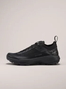 Chaussures Vertex Alpine GTX pour homme