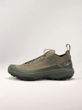 Chaussures Vertex Alpine GTX pour homme