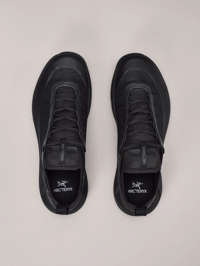 Chaussures Vertex Alpine GTX pour homme