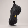 Chaussures Vertex Alpine GTX pour homme