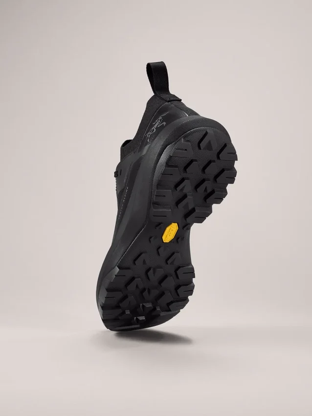 Chaussures Vertex Alpine GTX pour homme