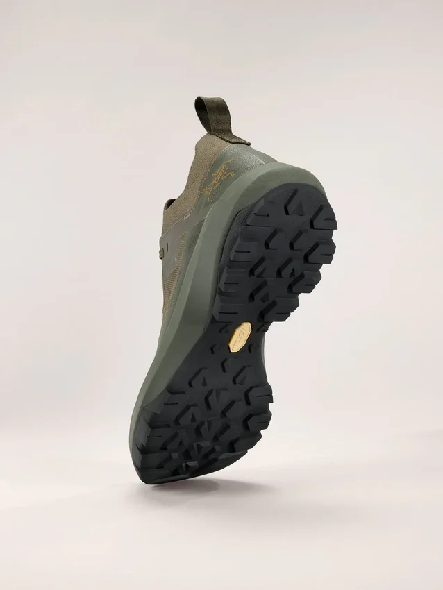 Chaussures Vertex Alpine GTX pour homme
