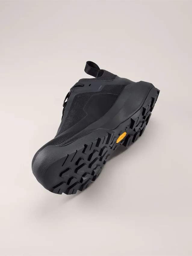 Chaussures Vertex Alpine GTX pour homme