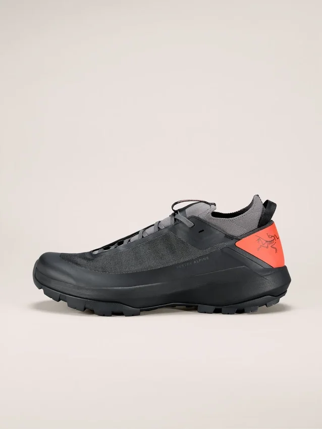 Chaussures Vertex Alpine pour homme