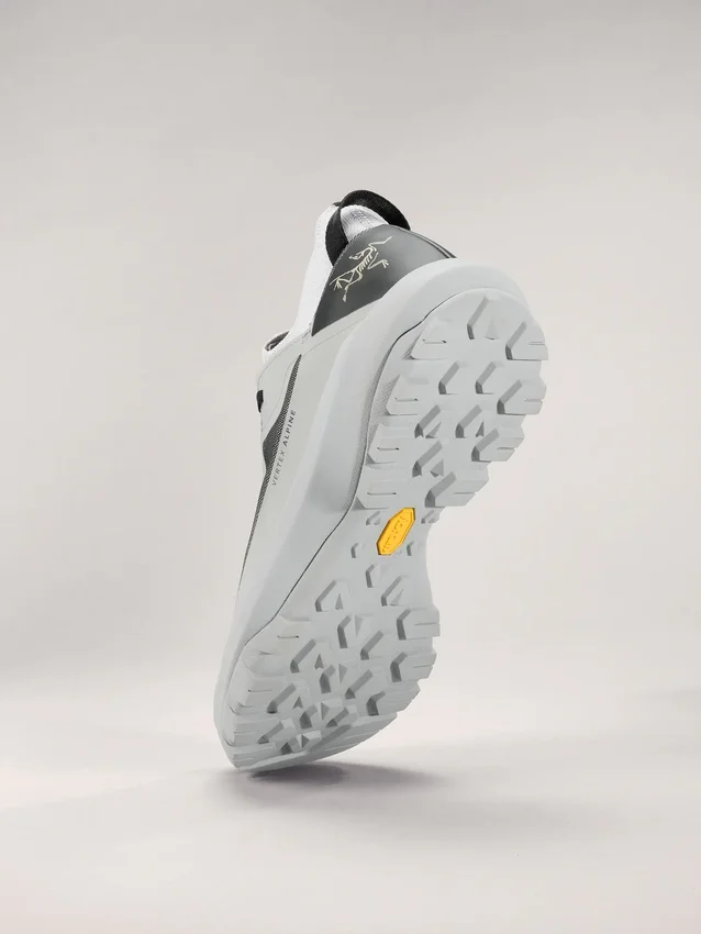 Chaussures Vertex Alpine pour homme