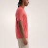 Chemise Ionia en laine mérinos SS pour homme