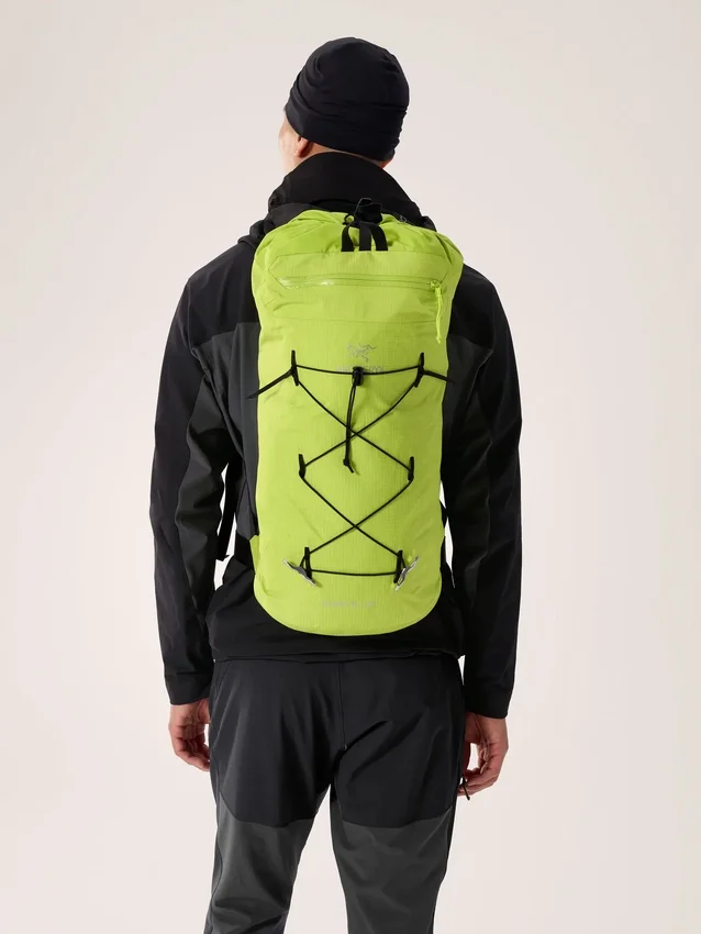 Sac à dos Alpha FL 20
