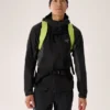 Sac à dos Alpha FL 20