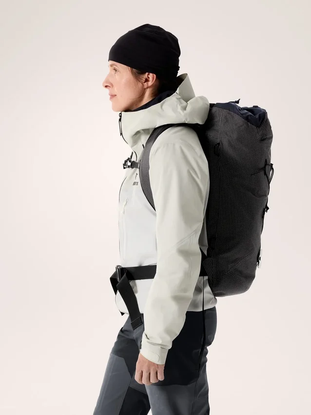 Sac à dos Alpha FL 20