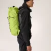 Sac à dos Alpha FL 20