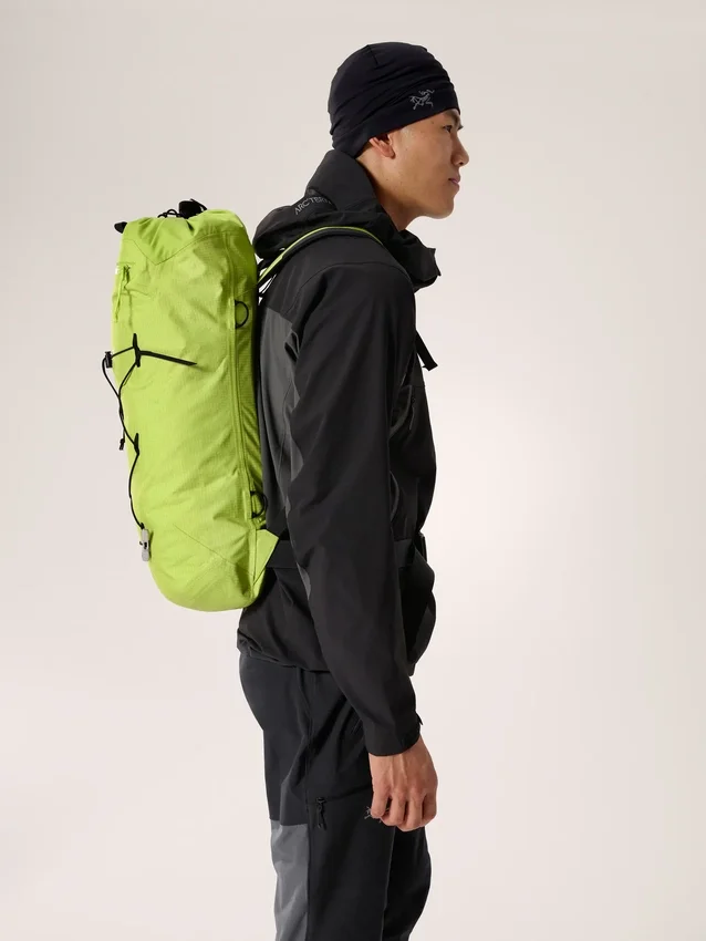 Sac à dos Alpha FL 20