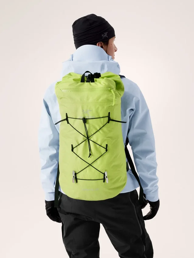 Sac à dos Alpha FL 30