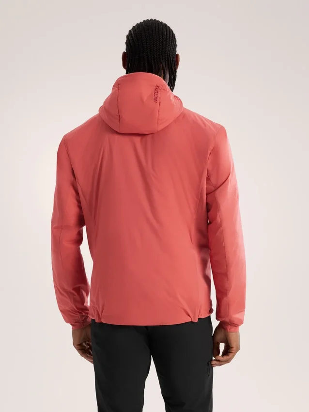 Sweats à capuche Atom pour homme