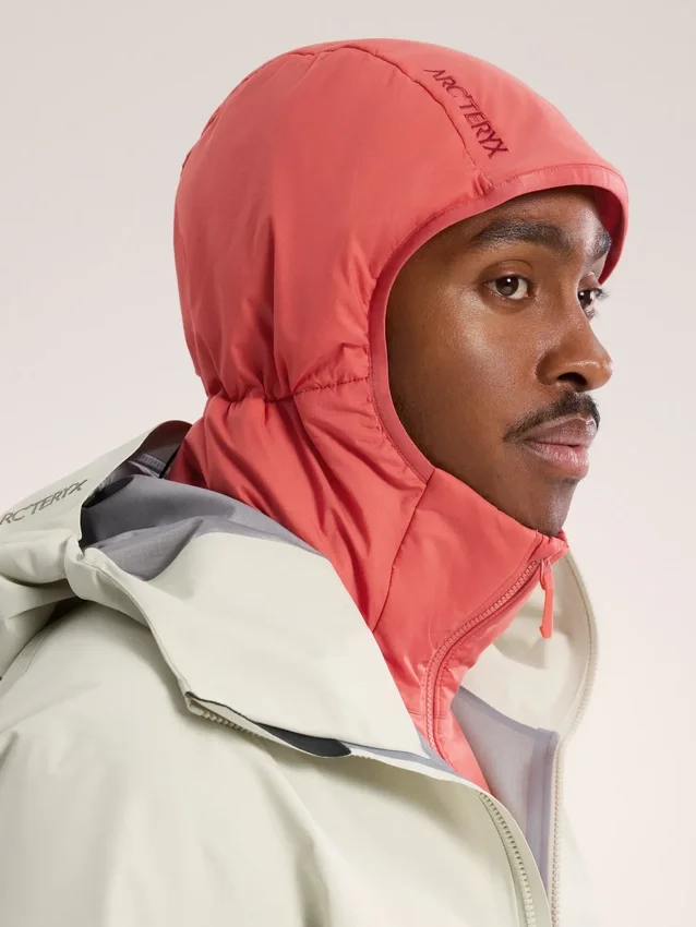 Sweats à capuche Atom pour homme
