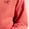 Sweats à capuche Atom pour homme
