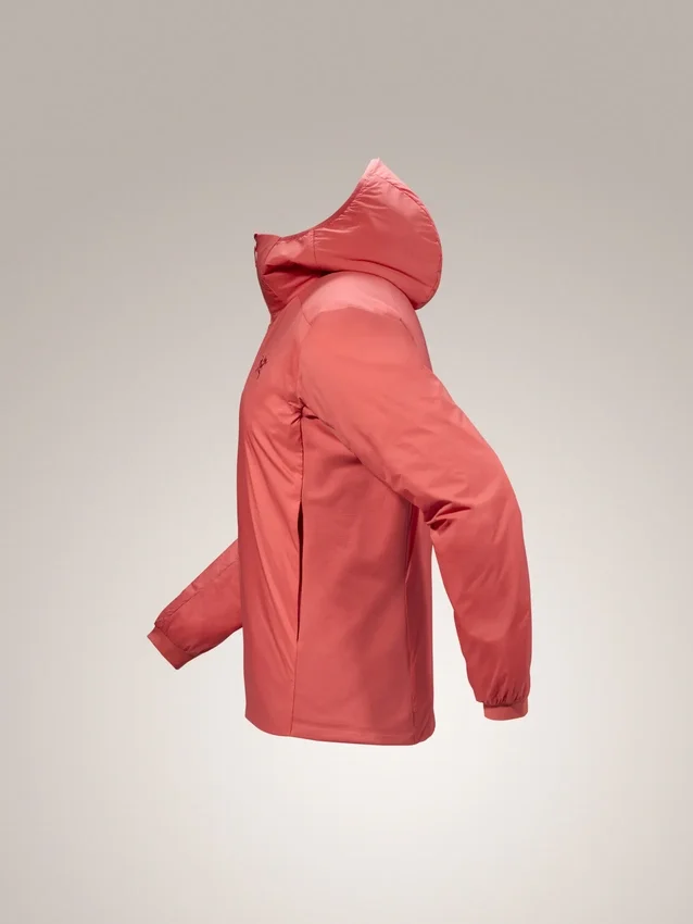 Sweats à capuche Atom pour homme