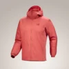 Sweats à capuche Atom pour homme
