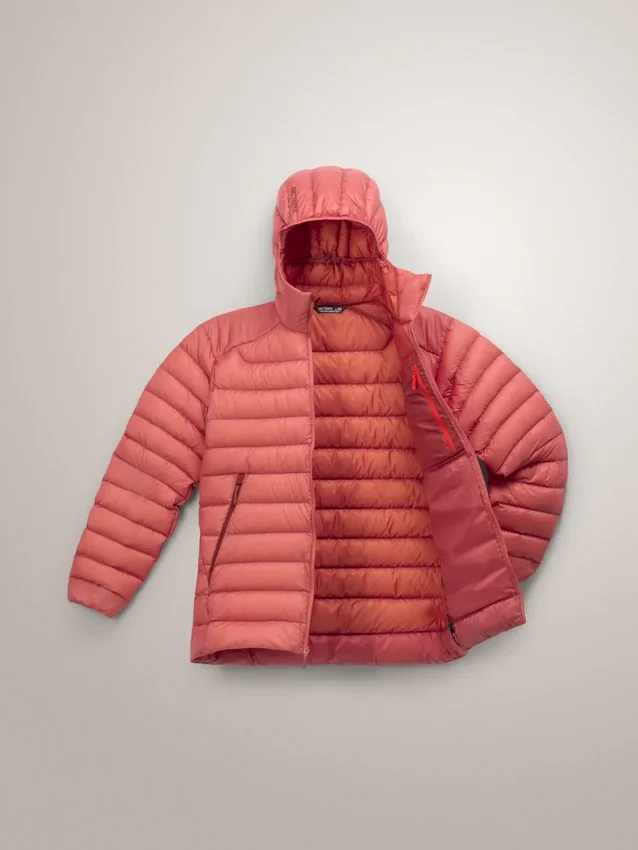 Sweats à capuche Cerium pour homme