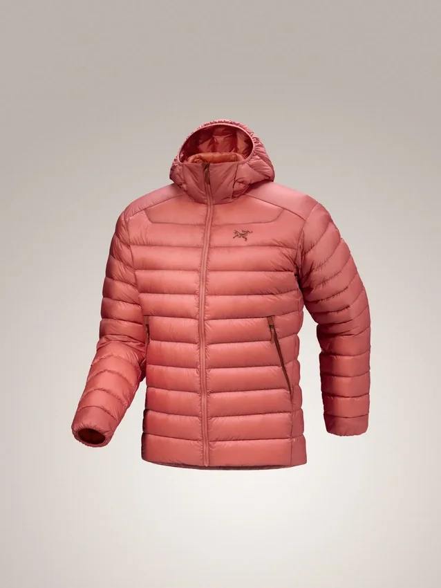 Sweats à capuche Cerium pour homme