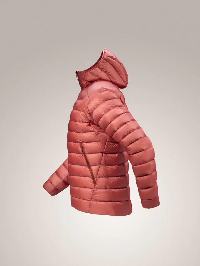 Sweats à capuche Cerium pour homme