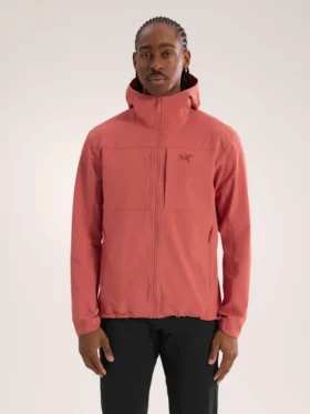 Sweats à capuche Gamma pour homme