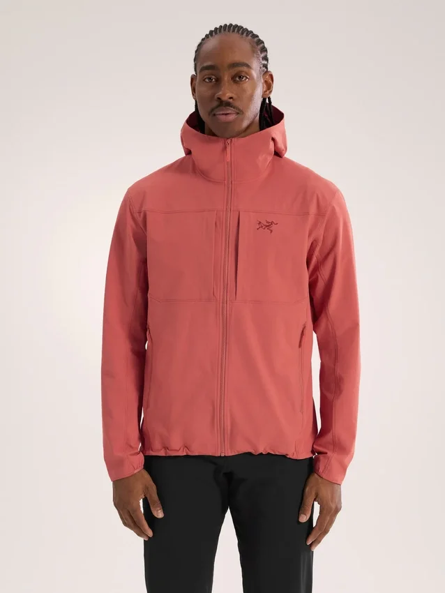 Sweats à capuche Gamma pour homme