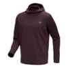 Sweats à capuche épais Cormac « Purple »